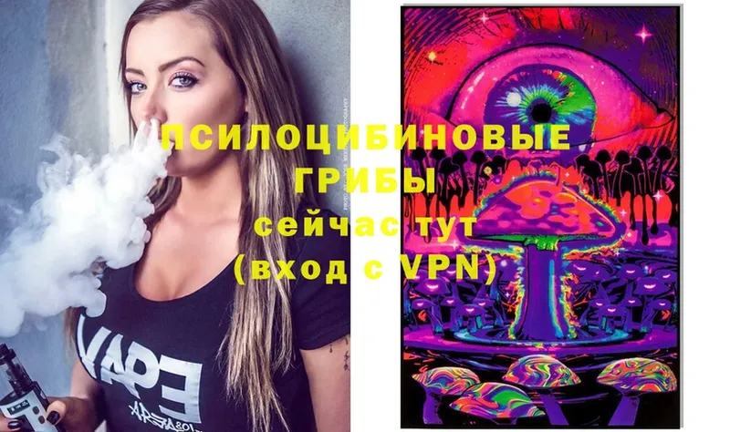 Псилоцибиновые грибы Psilocybe  наркотики  блэк спрут ССЫЛКА  Котельники 